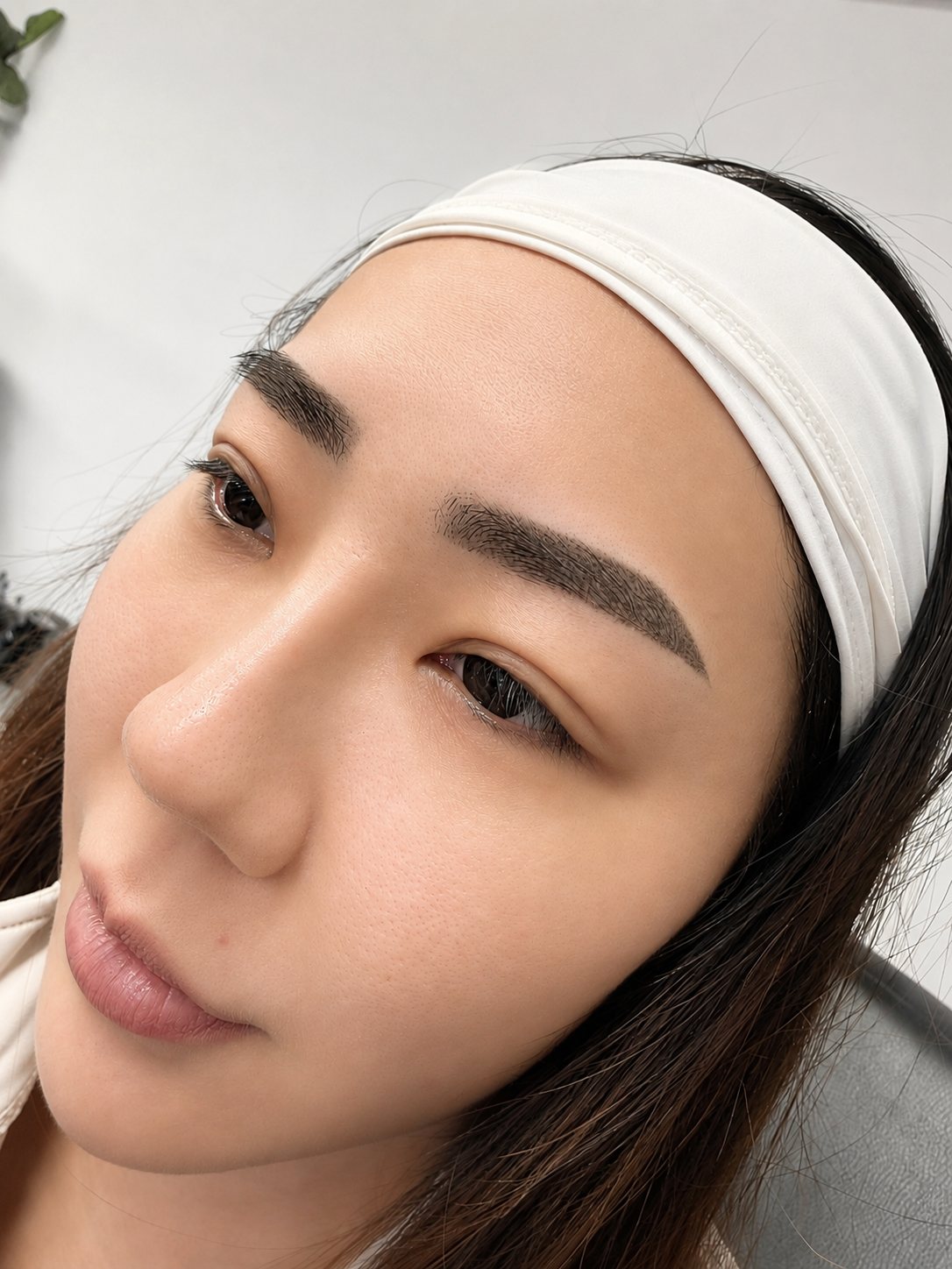 Freshly mapped ombre brow embroidery